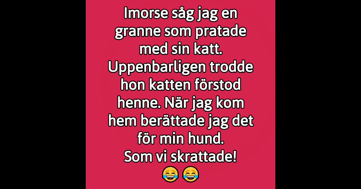 Som vi skrattade - Grabbhumor